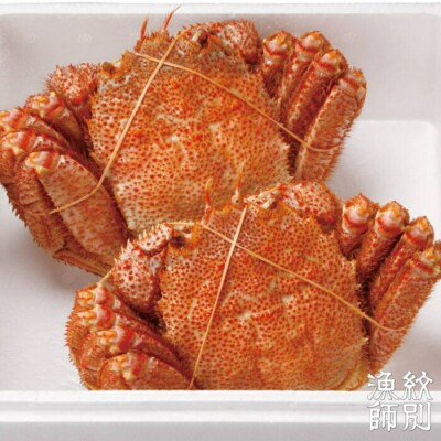 【北海道産】海明け毛がに姿 2尾計約800g【期間限定5月19日まで受付予定】(冷蔵便)