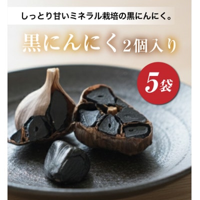 黒にんにく2個入り×5袋