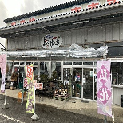 黒にんにく2個入り×5袋