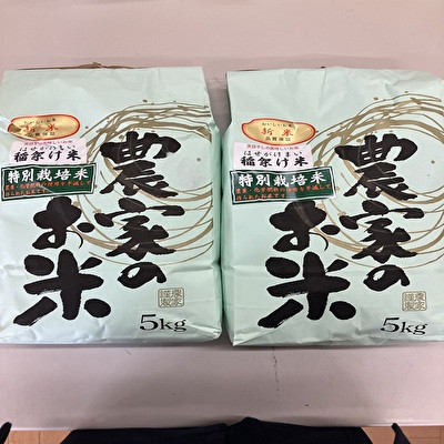 【新米】令和7年小野町産ひとめぼれ5kg×2袋　10kg精米(マルヨシファーム)