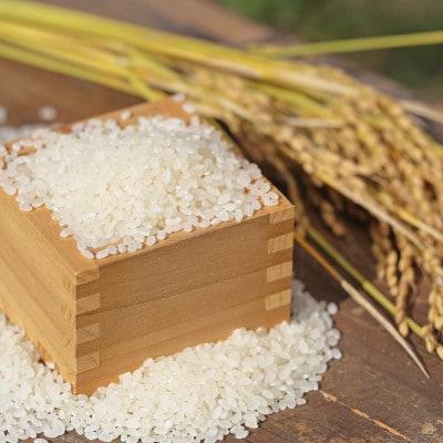 【先行予約】令和8年産　小野町産ひとめぼれ5kg　精米