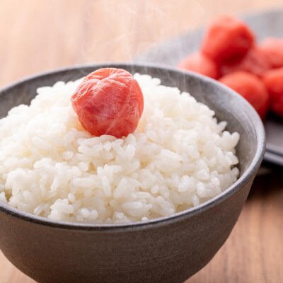 【先行予約】令和8年産　小野町産ひとめぼれ5kg　精米