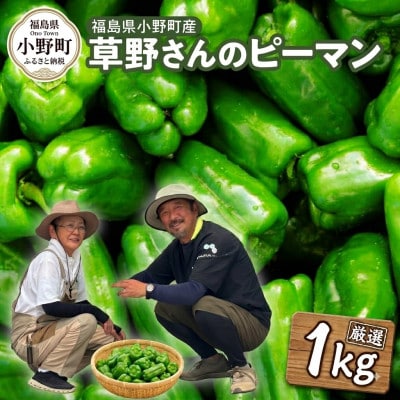 草野さんのピーマン 1kg