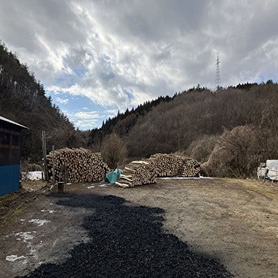 なら炭2寸5分(約7.6cmカット)8kg