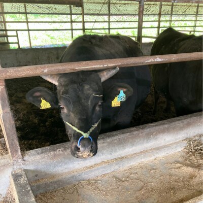 【小町の里・幸牛】黒毛和牛の水煮肉　200g×4個