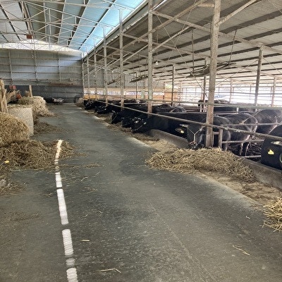 【年末感謝企画】【小町の里・幸牛】黒毛和牛ももブロック肉　490g(限定20個)