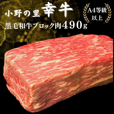 【小町の里・幸牛】黒毛和牛ブロック肉　490g