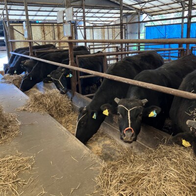 【毎月定期便】【小町の里・幸牛】黒毛和牛すき焼き肉 450g全3回