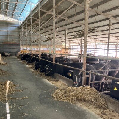 【毎月定期便】【小町の里・幸牛】黒毛和牛すき焼き肉 450g全3回