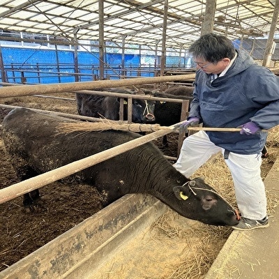 【毎月定期便】【小町の里・幸牛】黒毛和牛サーロインステーキ 200g×6枚全3回