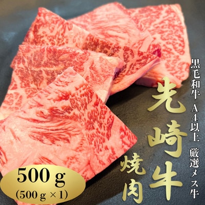 【先崎牛】A4等級以上の希少な厳選メス牛◆ロース焼肉500g