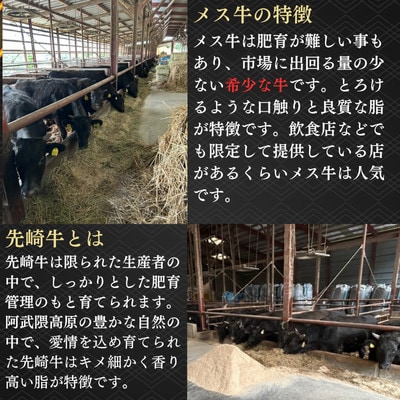 【先崎牛】A4等級以上の希少な厳選メス牛◆ロース焼肉2kg(500g×4パック)