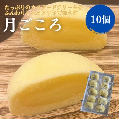 月ごころ10個入り