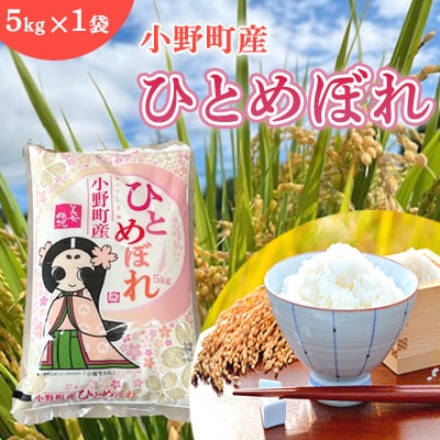 令和7年産福島県小野町産ひとめぼれ　5kg　精米