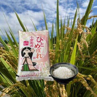 【毎月定期便】小野町産ひとめぼれ 精米 5kg全3回