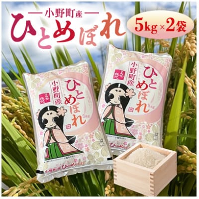 【毎月定期便】福島県小野町産ひとめぼれ 精米 10kg(5kg×2袋)全3回