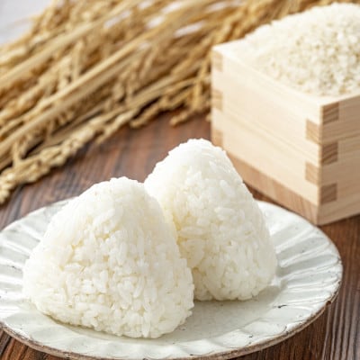 【毎月定期便】福島県小野町産ひとめぼれ 精米 10kg(5kg×2袋)全3回