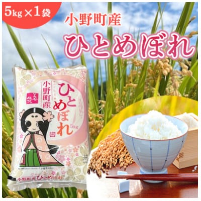 【毎月定期便】福島県小野町産ひとめぼれ 精米 5kg(5kg×1袋)全3回