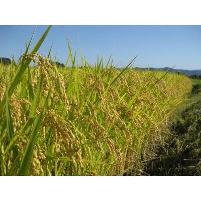 【毎月定期便】福島県小野町産ひとめぼれ 精米 5kg(5kg×1袋)全3回