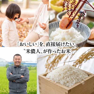 【栽培期間中農薬削減】あいちのかおり玄米5kg 愛知県 豊橋市 産地直送