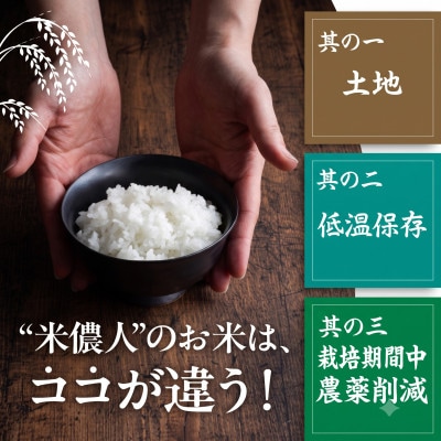 【栽培期間中農薬削減】あいちのかおり白米5kg 愛知県 豊橋市 産地直送