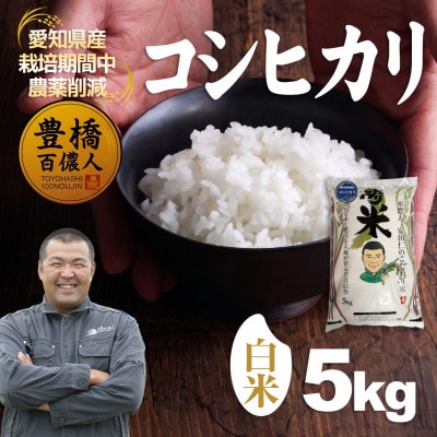 【栽培期間中農薬削減】令和7年産 コシヒカリ白米5kg 愛知県 豊橋市 産地直送