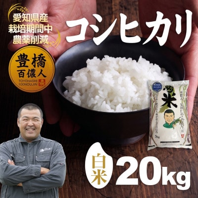 【栽培期間中農薬削減】令和7年産 コシヒカリ白米20kg 愛知県 豊橋市 産地直送