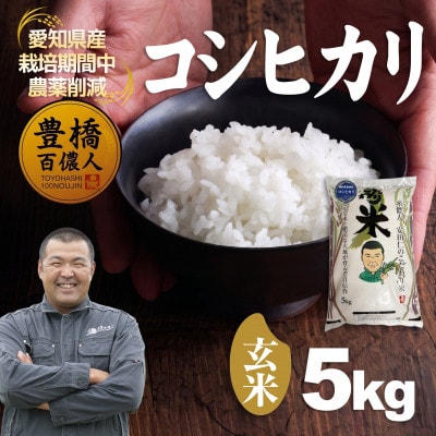 【栽培期間中農薬削減】令和7年産 コシヒカリ玄米5kg 愛知県 豊橋市 産地直送