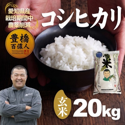 【栽培期間中農薬削減】令和7年産 コシヒカリ玄米20kg 愛知県 豊橋市 産地直送