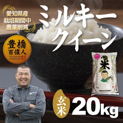 【栽培期間中農薬削減】令和7年産 ミルキークイーン玄米20kg 愛知県 豊橋市 産地直送