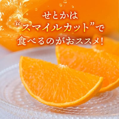 大トロみかん『木熟せとか』レギュラー箱　厳選プレミアム 4.2kg