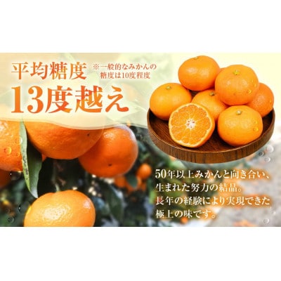 こだわりの早生みかん 蜜ツ丸 訳あり 2kg マルカワ園芸 マルチみかん 完熟みかん