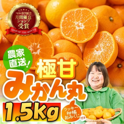 極甘!甘～い 完熟 温州みかん「みかん丸」(品種おまかせ)1.5kg