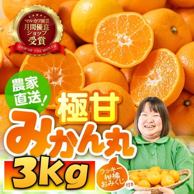 極甘!甘～い 完熟 温州みかん「みかん丸」(品種おまかせ)3kg