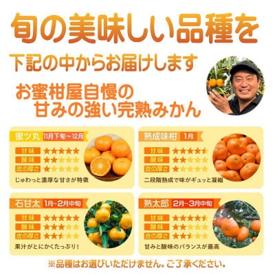 極甘!甘～い 完熟 温州みかん「みかん丸」(品種おまかせ)3kg