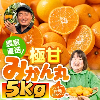 極甘!甘～い 完熟 温州みかん「みかん丸」(品種おまかせ)5kg