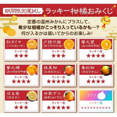 極甘!甘～い 完熟 温州みかん「みかん丸」(品種おまかせ)5kg