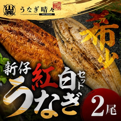 『うなぎ晴々』希少な若うなぎ 紅白セット2尾(蒲焼1尾・白焼1尾) 豊橋産　鰻　養殖場直送 食べ比べ