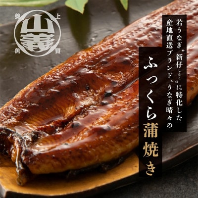 『うなぎ晴々』希少な若うなぎ 蒲焼1尾 国産 養殖場直送 ふっくら やわらか