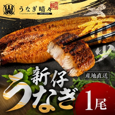 『うなぎ晴々』希少な若うなぎ 蒲焼1尾 国産 養殖場直送 ふっくら やわらか