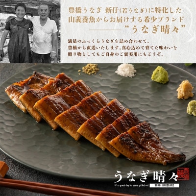 『うなぎ晴々』希少な若うなぎ 蒲焼1尾 国産 養殖場直送 ふっくら やわらか