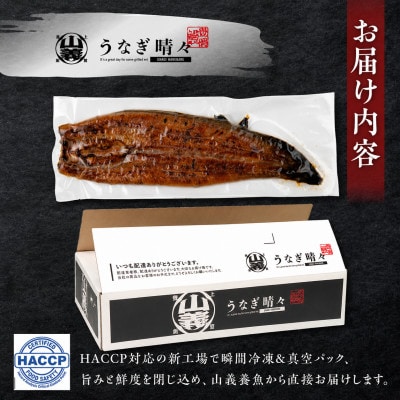 『うなぎ晴々』希少な若うなぎ 蒲焼1尾 国産 養殖場直送 ふっくら やわらか