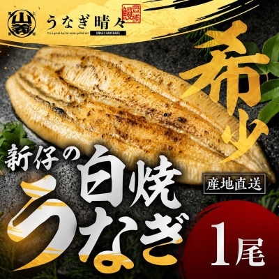 『うなぎ晴々』希少な若うなぎ 白焼1尾 国産 養殖場直送 ふっくら やわらか