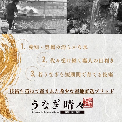 『うなぎ晴々』希少な若うなぎ 白焼1尾 国産 養殖場直送 ふっくら やわらか