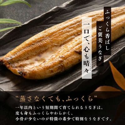 『うなぎ晴々』希少な若うなぎ 白焼1尾 国産 養殖場直送 ふっくら やわらか