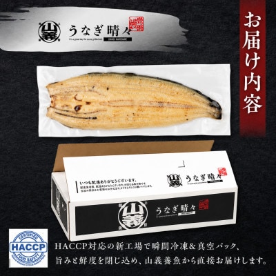 『うなぎ晴々』希少な若うなぎ 白焼1尾 国産 養殖場直送 ふっくら やわらか