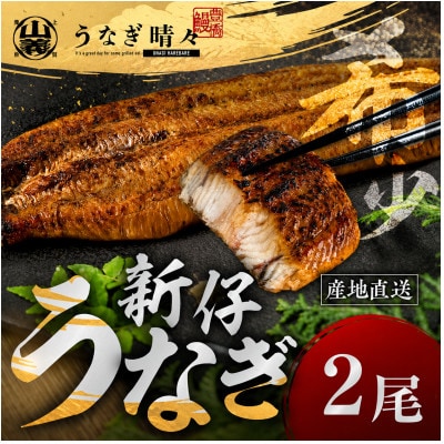 『うなぎ晴々』希少な若うなぎ 蒲焼2尾 国産 養殖場直送 ふっくら やわらか