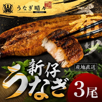 『うなぎ晴々』希少な若うなぎ 蒲焼3尾 国産 養殖場直送 ふっくら やわらか