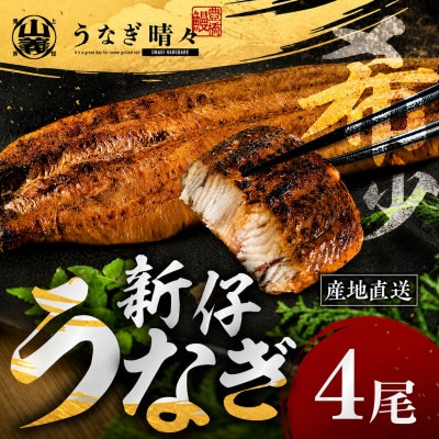 『うなぎ晴々』希少な若うなぎ 蒲焼4尾 国産 養殖場直送 ふっくら やわらか
