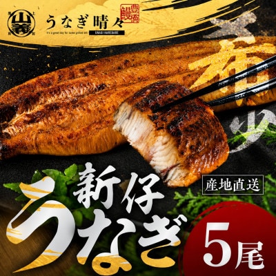 『うなぎ晴々』希少な若うなぎ 蒲焼5尾 国産 養殖場直送 ふっくら やわらか